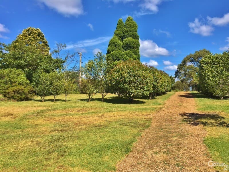 5 Kalinda Road, Bullaburra, NSW, 2784, Bullaburra - Thumbnail 3