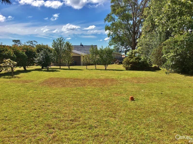5 Kalinda Road, Bullaburra, NSW, 2784, Bullaburra - Thumbnail 5