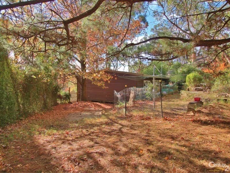 4 Lester Avenue, Hazelbrook, NSW, 2779, Hazelbrook - Thumbnail 3