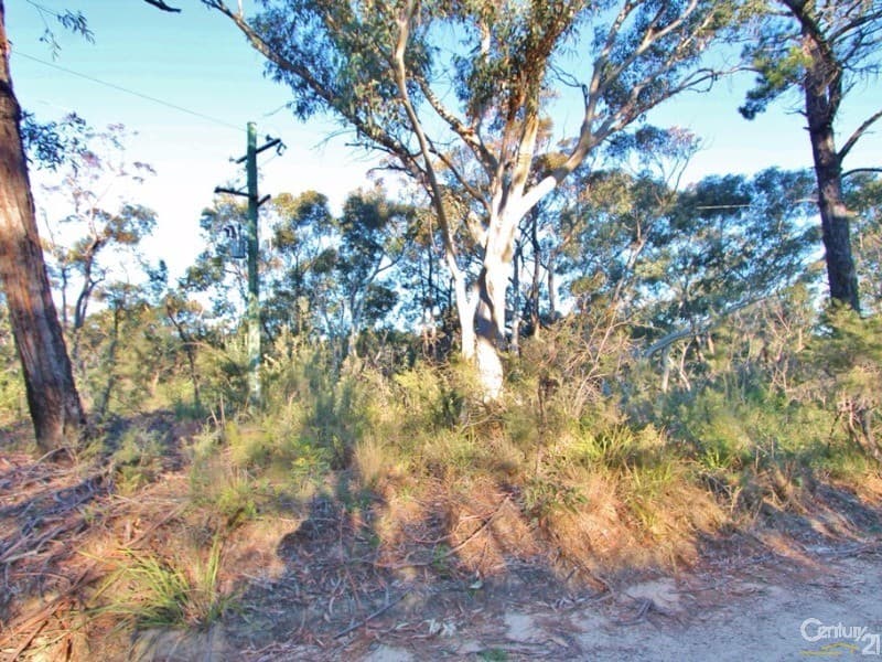 106-130 Terrace Falls Road, Hazelbrook, NSW, 2779, Hazelbrook - Thumbnail 2