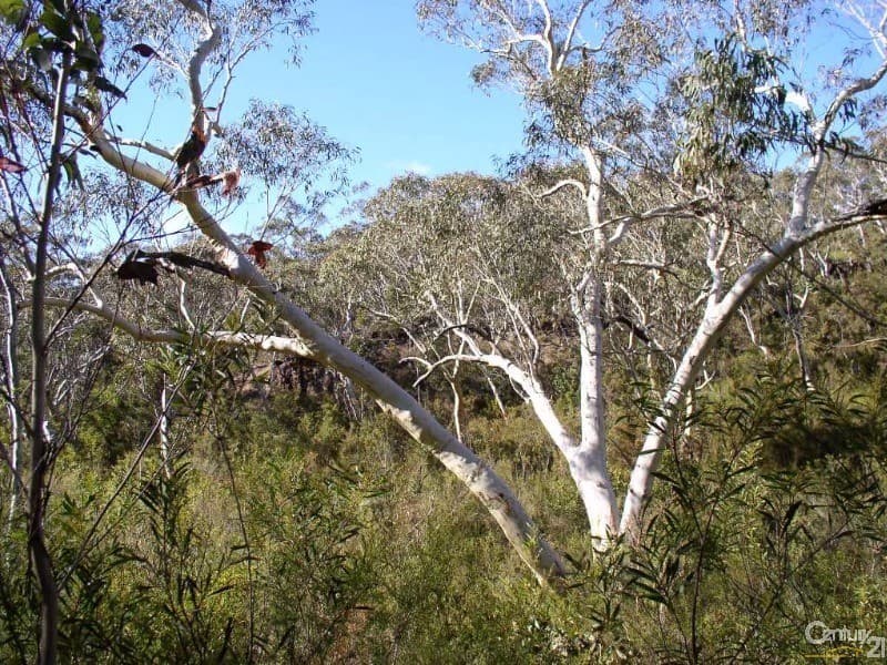 106-130 Terrace Falls Road, Hazelbrook, NSW, 2779, Hazelbrook - Thumbnail 7