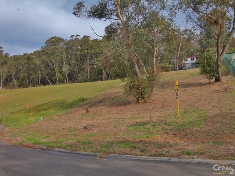 3 Goranne Place, Hazelbrook, NSW, 2779, Hazelbrook - Thumbnail 3
