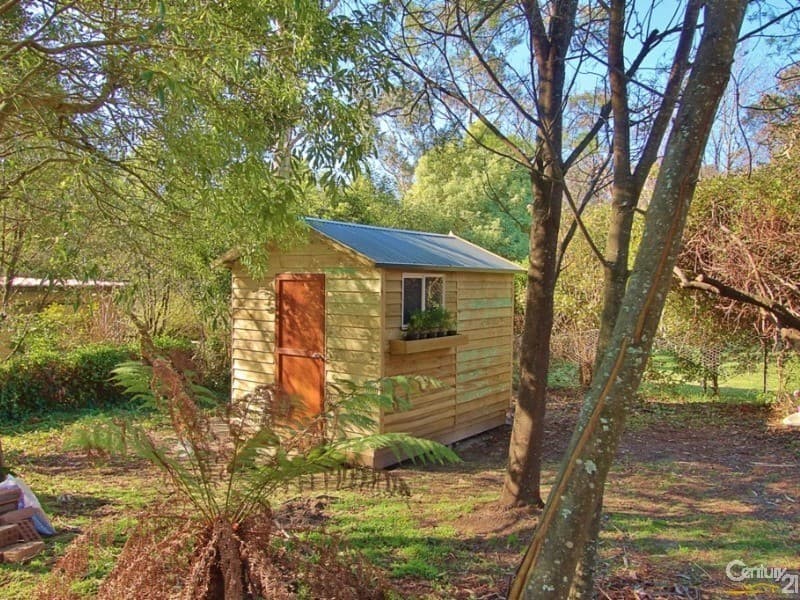 11 Yester Road, Wentworth Falls, NSW, 2782, Wentworth Falls - Thumbnail 4