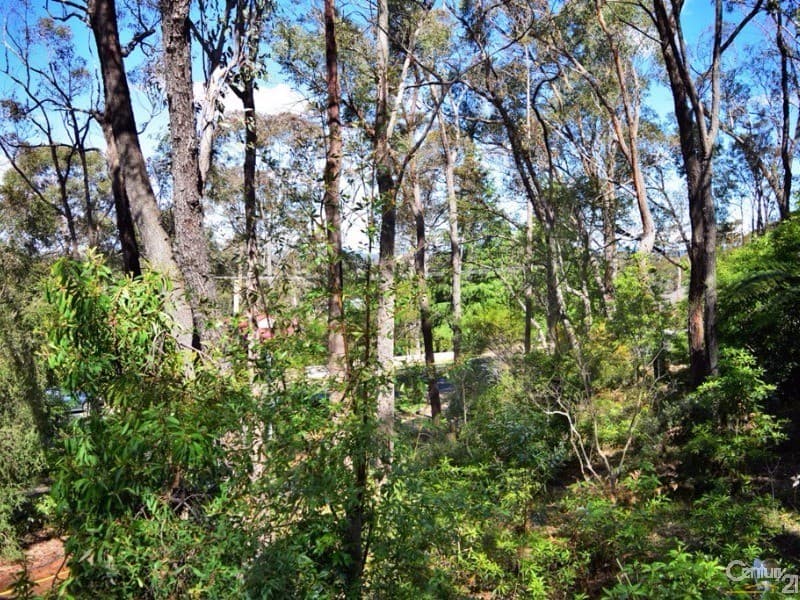 13 Warrener Street, Nerang, QLD, 4211, Nerang - Thumbnail 7