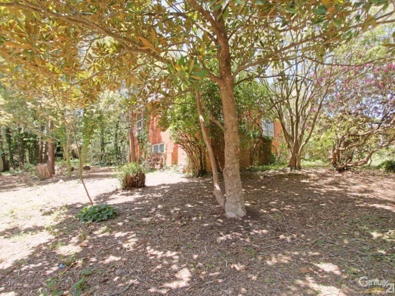 81-83 Victoria Street, Katoomba, NSW, 2780, Katoomba - Thumbnail 2