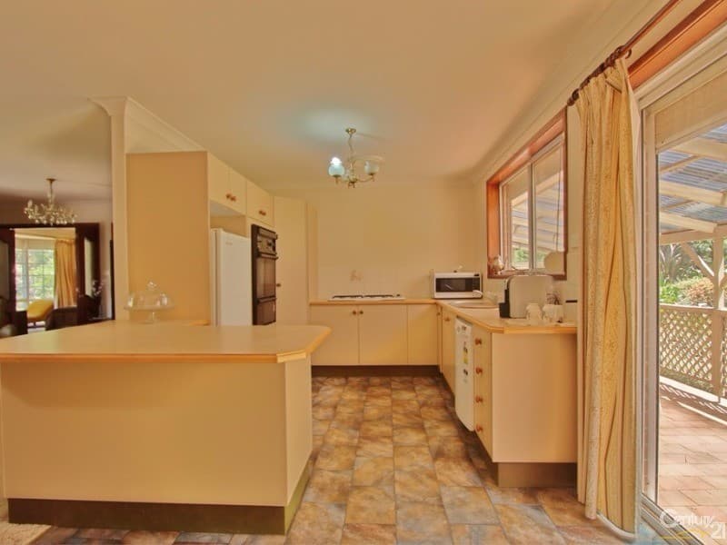 14 Banksia Road, Wentworth Falls, NSW, 2782, Wentworth Falls - Thumbnail 4
