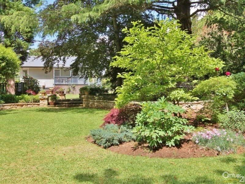 66 Blaxland Road, Wentworth Falls, NSW, 2782, Wentworth Falls - Thumbnail 4