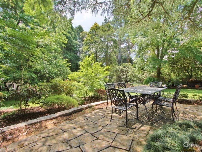 66 Blaxland Road, Wentworth Falls, NSW, 2782, Wentworth Falls - Thumbnail 6