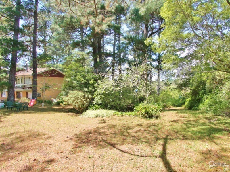 65 Clear View Parade, Hazelbrook, NSW, 2779, Hazelbrook - Thumbnail 3