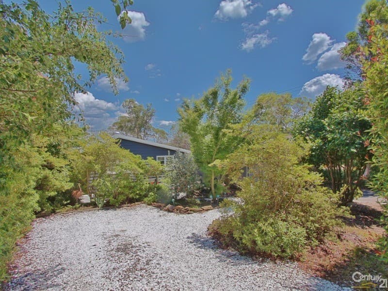 12 Wallis Street, Lawson, NSW, 2783, Lawson - Thumbnail 3