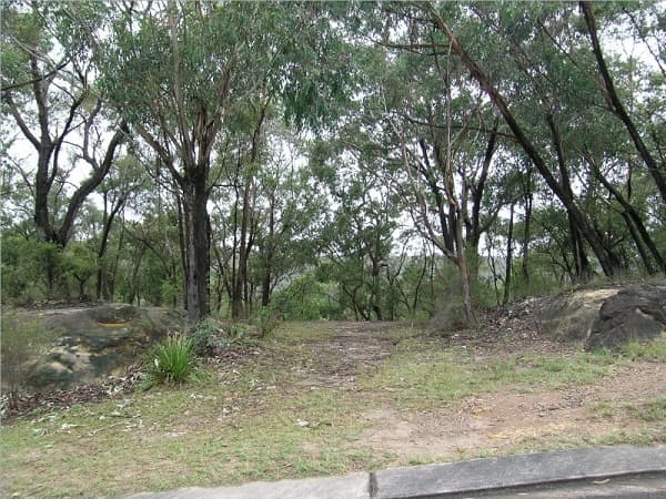 66 Pimelea Drive, Woodford, NSW, 2778, Woodford - Image 1