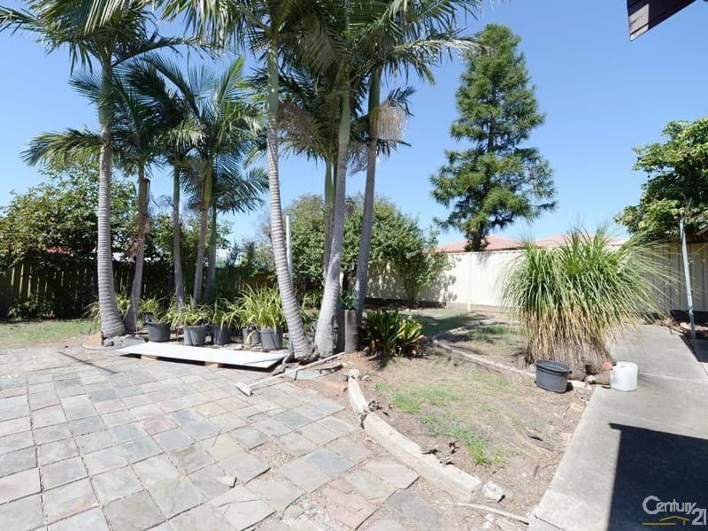 8 Settlers Rise, Pomona, QLD, 4568, Pomona - Thumbnail 6