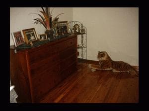 1/95-97 Ware Street, Fairfield, NSW, 2165, Fairfield Heights - Thumbnail 5