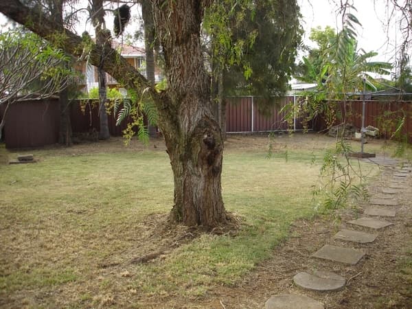 1/95-97 Ware Street, Fairfield, NSW, 2165, Canley Heights - Thumbnail 8
