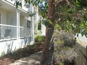 158 Bay Terrace, Wynnum, QLD, 4178, Wynnum - Image 1
