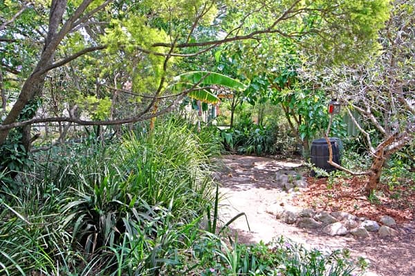 126 Singer Street, Wynnum, QLD, 4178, Wynnum - Thumbnail 3
