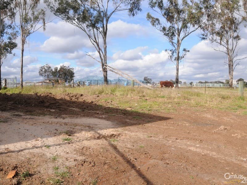 11 Brinsley Avenue, Schofields, NSW, 2762, Tallawong - Thumbnail 3