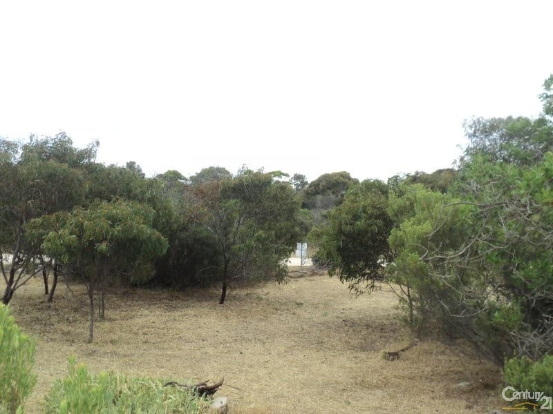 33 Collins Crescent, Baudin Beach, SA, 5222, Baudin Beach - Thumbnail 8