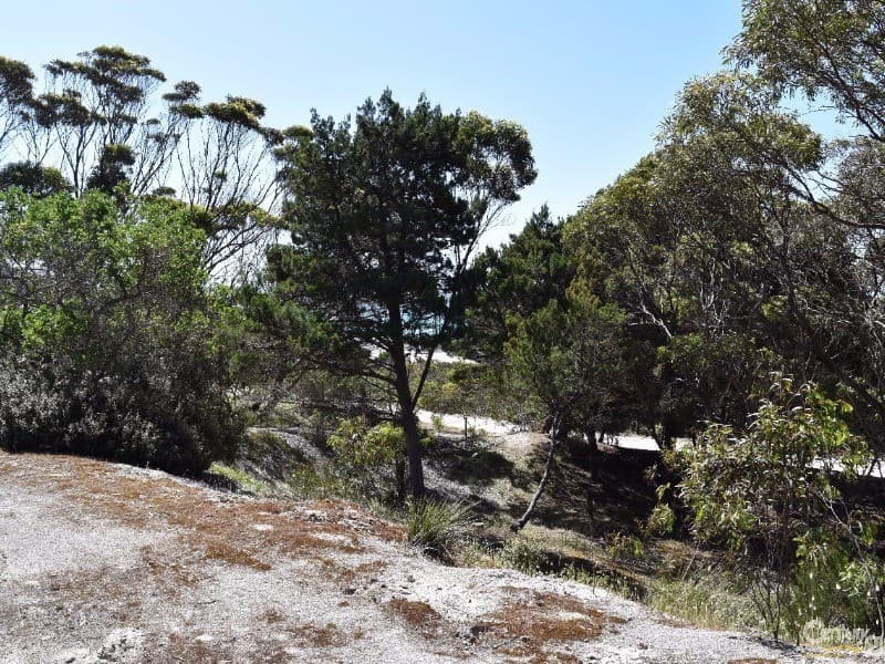 Lot 231 De Couedie Drive, Island Beach, SA, 5222, Island Beach - Thumbnail 8