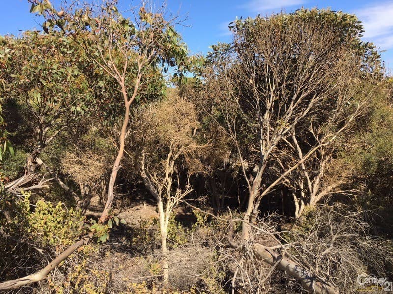 Lot 93 Crabb Road, Vivonne Bay, SA, 5223, Vivonne Bay - Thumbnail 5