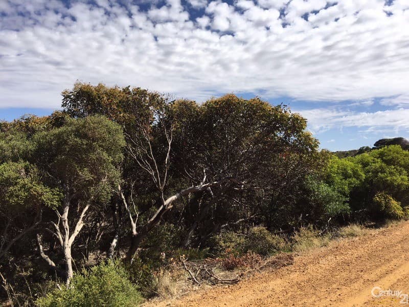 Lot 93 Crabb Road, Vivonne Bay, SA, 5223, Vivonne Bay - Thumbnail 8