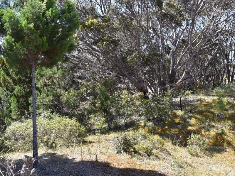 Lot 206 Borda Road, Island Beach, SA, 5222, Island Beach - Thumbnail 3
