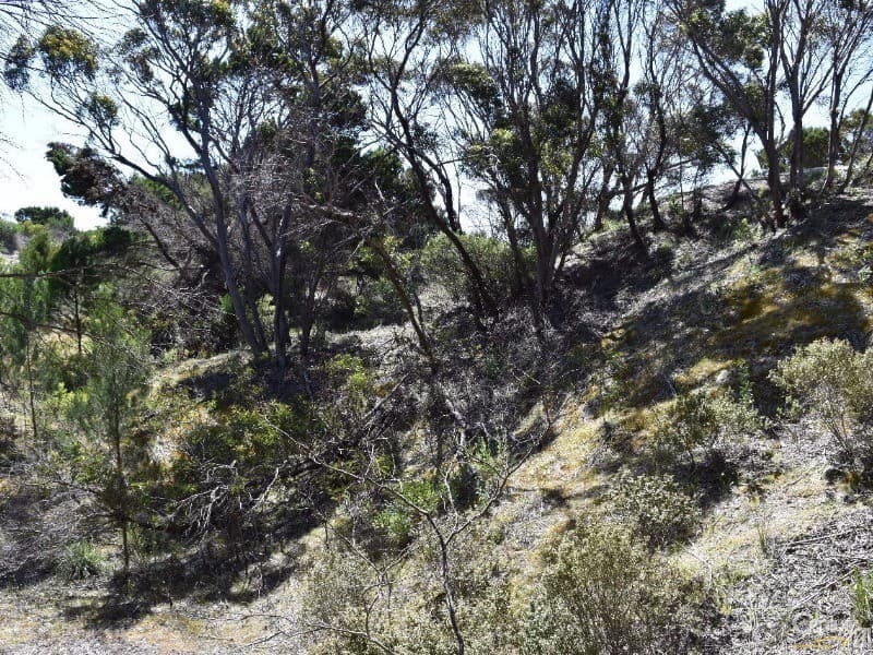 Lot 206 Borda Road, Island Beach, SA, 5222, Island Beach - Thumbnail 5