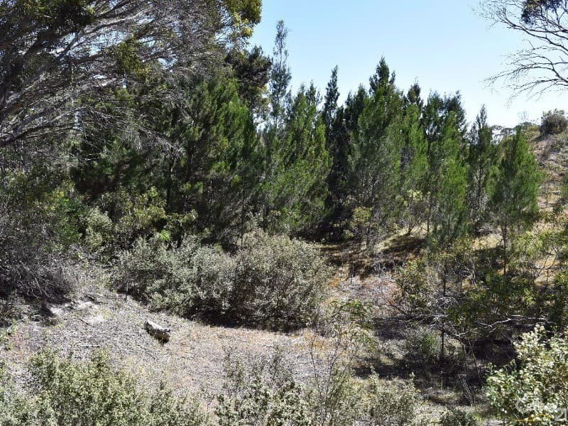 Lot 206 Borda Road, Island Beach, SA, 5222, Island Beach - Thumbnail 6