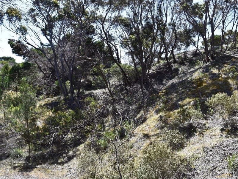 Lot 206 Borda Road, Island Beach, SA, 5222, Island Beach - Thumbnail 7
