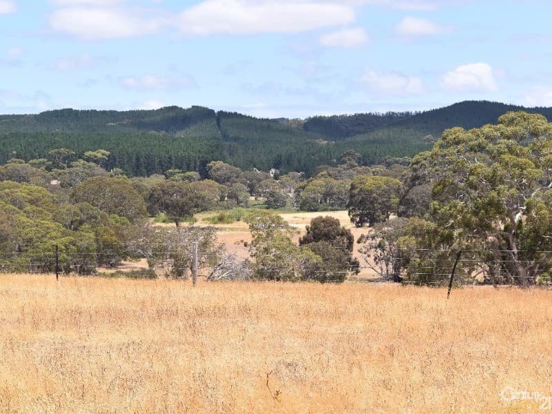 837 Bark Hutt Road, Cassini, SA, 5223, Cassini - Thumbnail 4