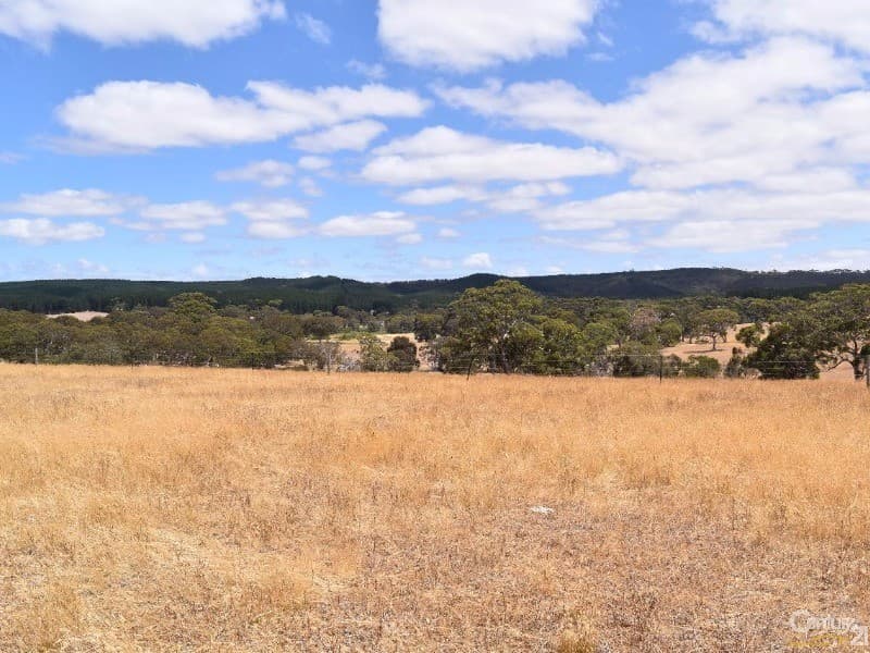 837 Bark Hutt Road, Cassini, SA, 5223, Cassini - Thumbnail 7