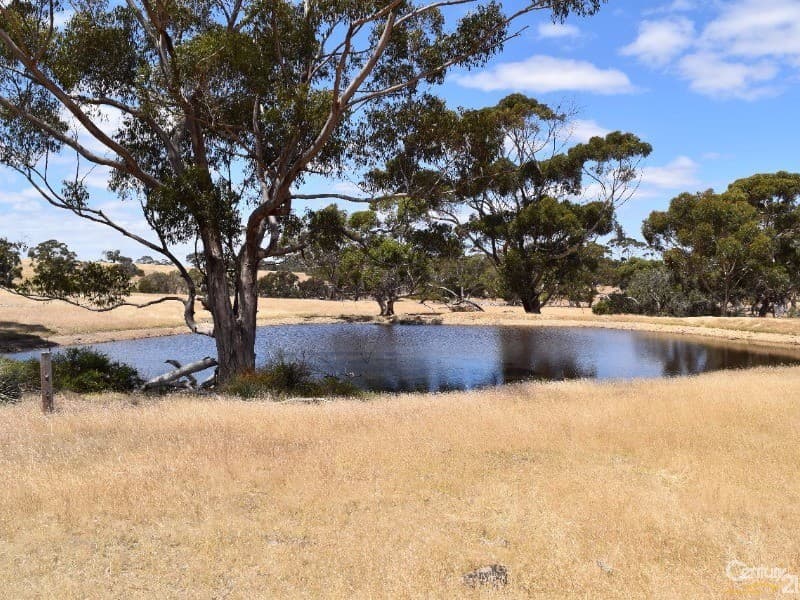837 Bark Hutt Road, Cassini, SA, 5223, Cassini - Thumbnail 6