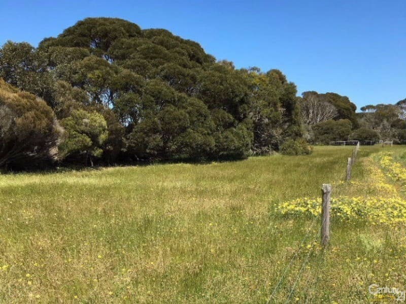 Lot 20 Wild Dog Road, D'Estrees Bay, SA, 5223, D'Estrees Bay - Thumbnail 7