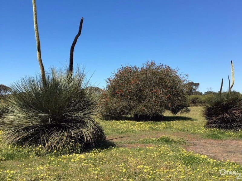 Lot 20 Wild Dog Road, D'Estrees Bay, SA, 5223, D'Estrees Bay - Image 1