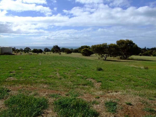 Lot 59 Freycinet Way, Penneshaw, SA, 5222, Penneshaw - Thumbnail 5