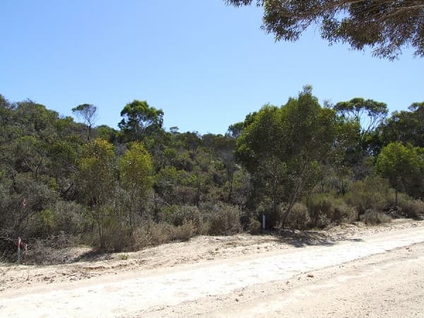Lot 195 Island Beach Road, Island Beach, SA, 5222, Island Beach - Thumbnail 3
