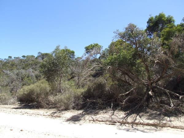 Lot 195 Island Beach Road, Island Beach, SA, 5222, Island Beach - Thumbnail 5