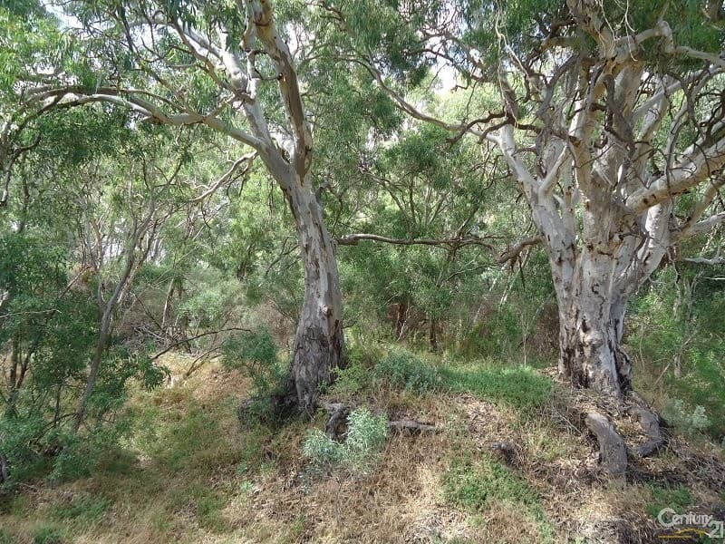 11 Muster Drive, Napperby, SA, 5540, Napperby - Thumbnail 2