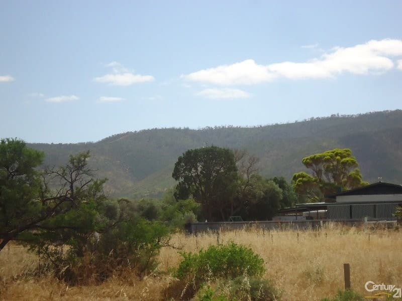 11 Muster Drive, Napperby, SA, 5540, Napperby - Thumbnail 5