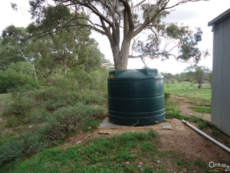 11 Muster Drive, Napperby, SA, 5540, Napperby - Thumbnail 4