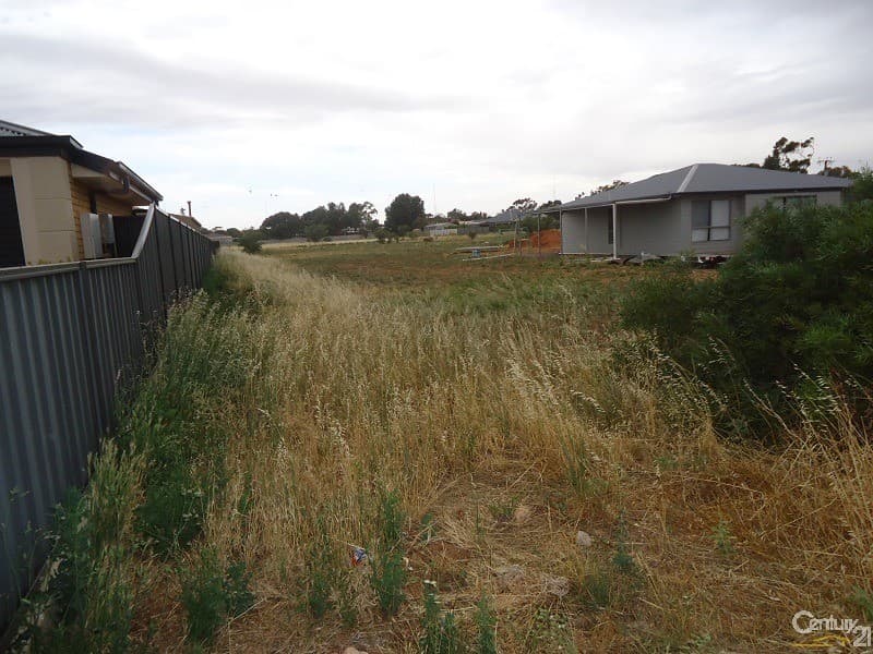 12 Greig Road, Crystal Brook, SA, 5523, Crystal Brook - Thumbnail 3