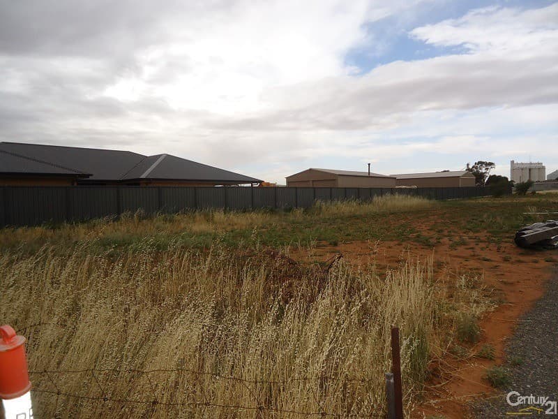 12 Greig Road, Crystal Brook, SA, 5523, Crystal Brook - Thumbnail 5