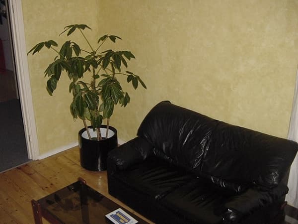 87 George Street, Korumburra, Korumburra - Thumbnail 4
