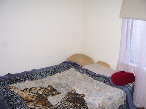 11 Gordon Street, Port Pirie, SA, 5540, Risdon Park - Thumbnail 4