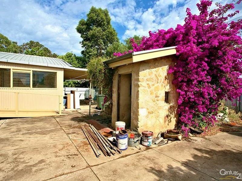 13 Frank Street, Newton, SA, 5074, Newton - Thumbnail 6