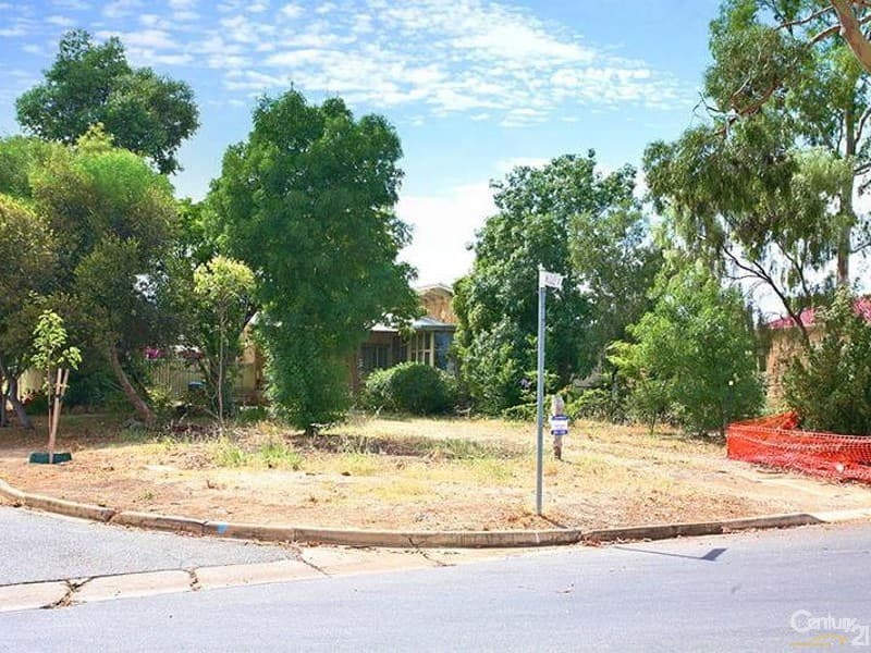 13 Frank Street, Newton, SA, 5074, Newton - Thumbnail 7
