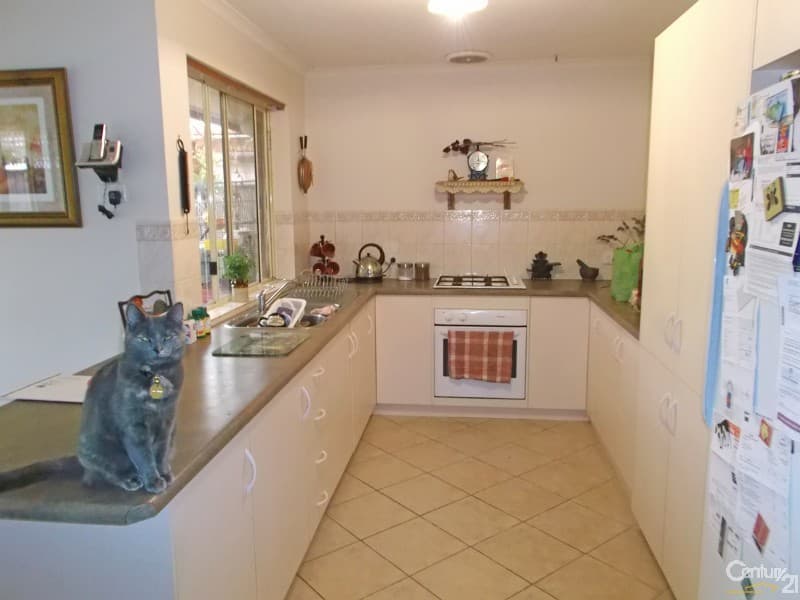 50 Parkway Circuit, Parafield Gardens, SA, 5107, Parafield Gardens - Thumbnail 4