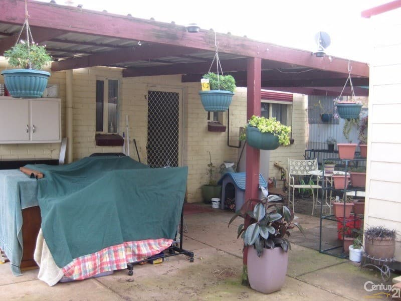 59 Mahood Street, Elizabeth Grove, SA, 5112, Elizabeth Grove - Thumbnail 4