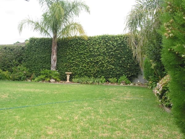 26 Edith Road, Salisbury North, SA, 5108, Salisbury North - Thumbnail 8