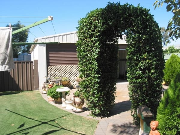 4 Motcombe Road, Salisbury North, SA, 5108, Salisbury North - Thumbnail 6